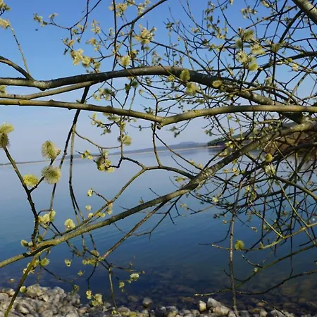 Brombachseebrise Apartman *